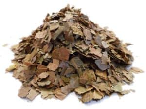 Combretum micranthum leaves