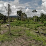 created by dji camera