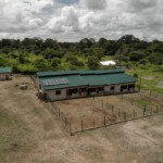 created by dji camera